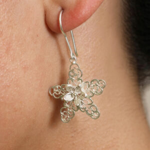 Aretes